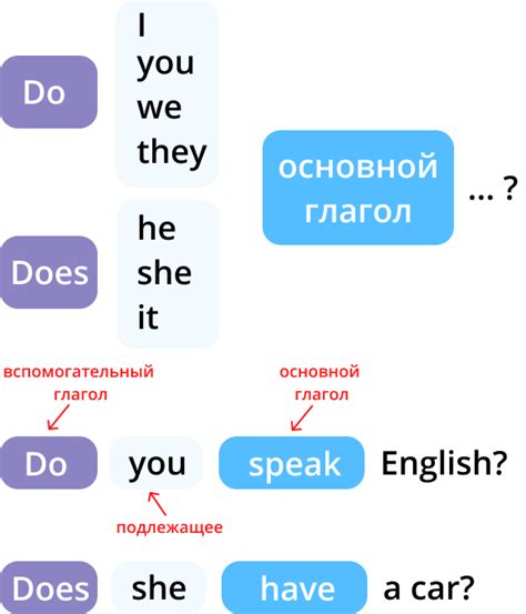 Существенные различия между глаголами "do" и "does"