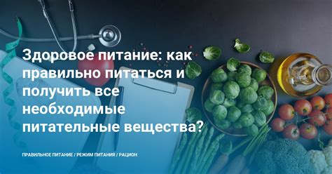 Сформируйте правильное пищевое меню, содержащее все необходимые питательные вещества