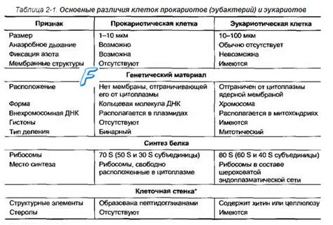 Сходства и различия между двумя гипоаллергенными детскими смесями