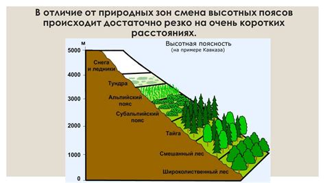 Тайницы стратосферы: причины значимости высотных зон