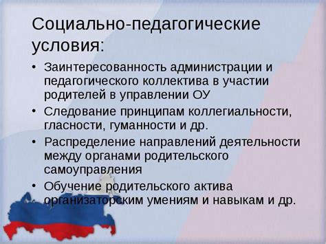 Тайны участия мурчалок в жизни образовательных учреждений