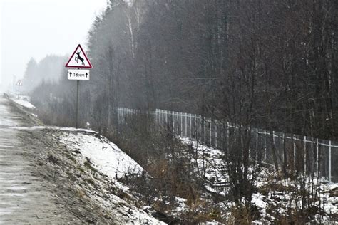 Тактика успешной уклоняющейся обороны от лосей