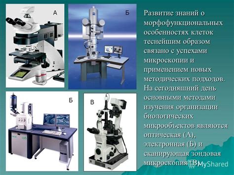 Терминология и смысл микроскопии карантина в дошкольной организации