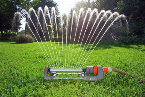 Типы устройств для эффективного сбора и отвода воды в целях полива огорода