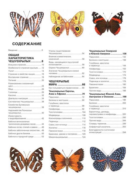 Тотемные значения бабочки в разных культурах