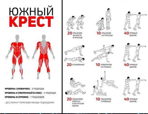 Тренировки с интенсивностью: ускорение обмена веществ и сжигание жира