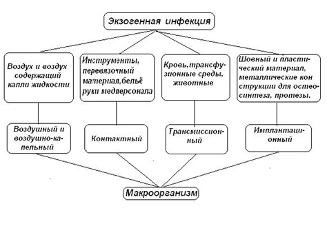 ТEdit: описание и возможные источники инфекции