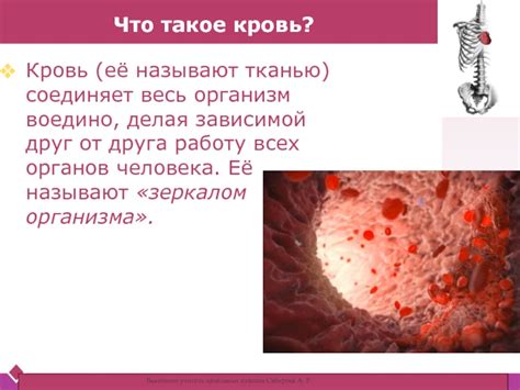 Увеличение кровообращения: важность оптимального поглащения тканью