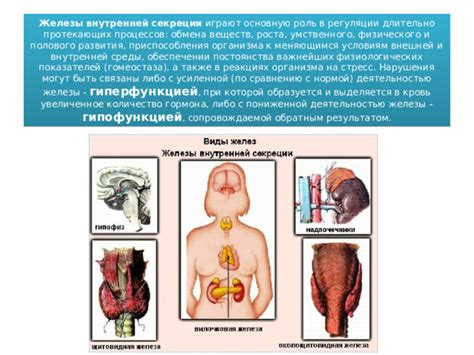 Увеличенное количество функций