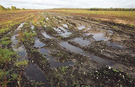 Угроза для питательности почв