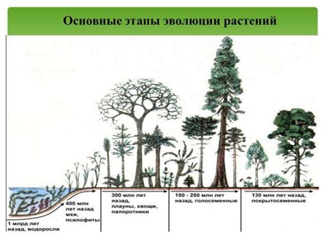 Угрозы для растительного мира: человеческая деятельность