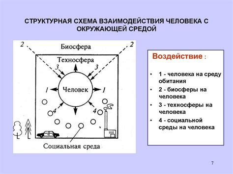 Удивительное взаимодействие человека и тайной небесной глади