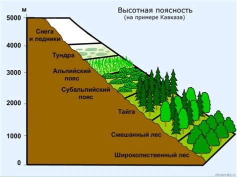 Укрепление экологического образования и развитие природных резерватов как важные компоненты усовершенствования природной инфраструктуры