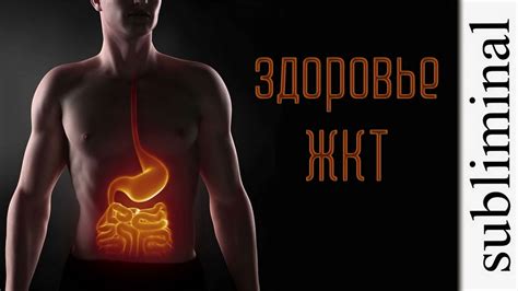 Улучшение работы желудочно-кишечного тракта и обновление функций кишечника