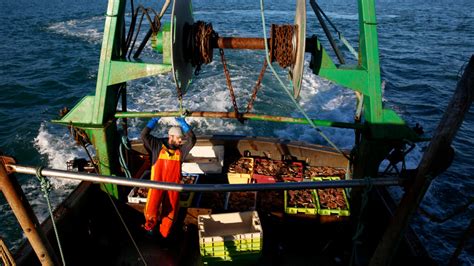 Улучшение рыболовства и получение рыболовных судов