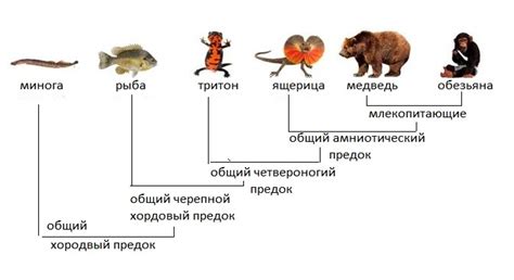 Уникальное различие растений в мире живых организмов