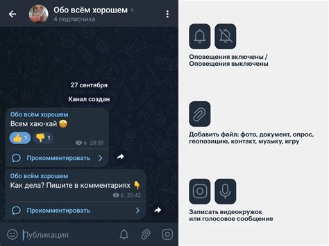 Управление списком контактов в мессенджере Telegram на устройствах с операционной системой Android