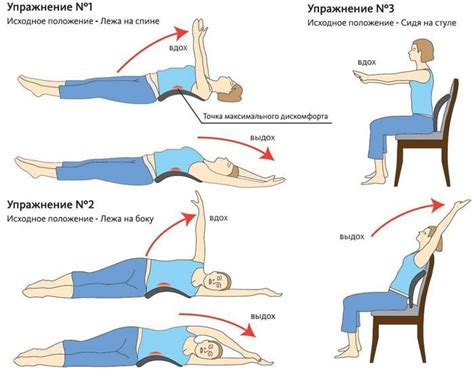 Упражнения для миофасциальной ткани: полезные рекомендации и методы