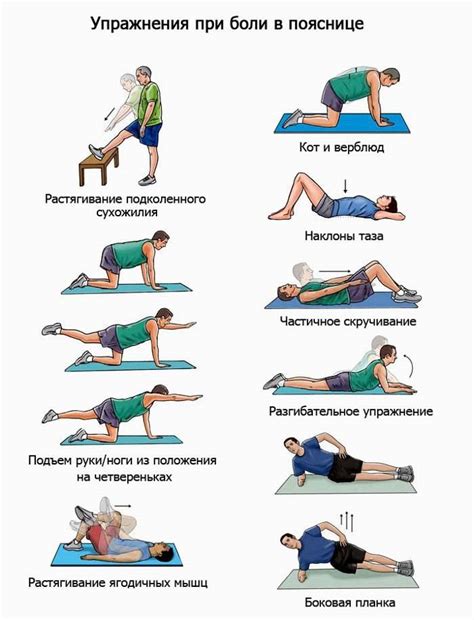 Упражнения для укрепления мышц спины: комплекс комплексного тренировочного плана