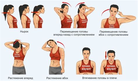 Упражнения для укрепления шеи и плечевого пояса