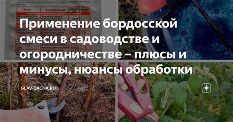 Условия использования участка в садоводстве: ограничения и нюансы