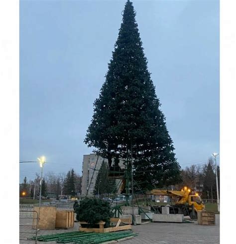 Установка елки в центральной части комнаты