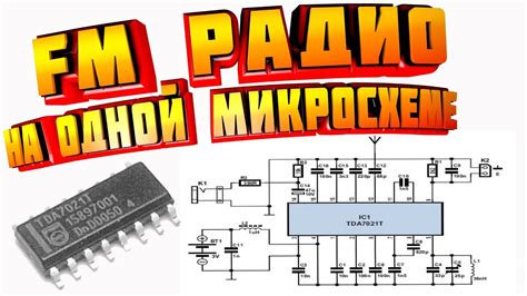 Установка часов радио Philips: пошаговая схема для новичков