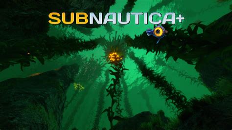 Установка Bepinex для Subnautica: пошаговое руководство