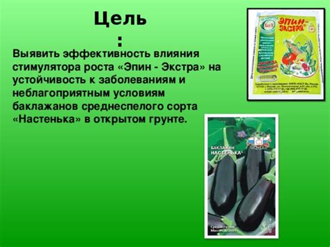 Устойчивость к неблагоприятным погодным условиям и растительным заболеваниям