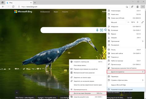 Устранение следов в Microsoft Edge