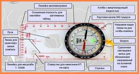 Устройство и принцип работы компаса: путеводитель по направлениям