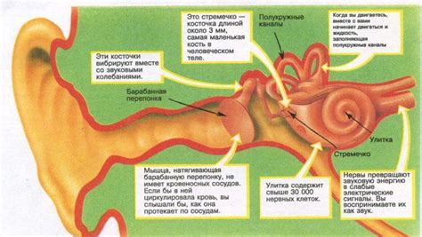 Ухудшение слуха и неприятные ощущения в ухе