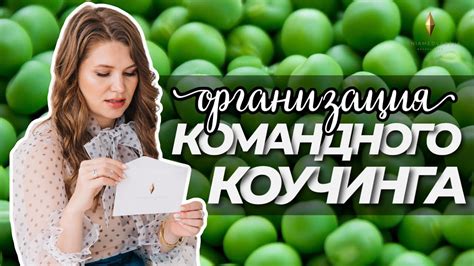 Учимся эффективной командной работе: командные игры "Что Где Когда"