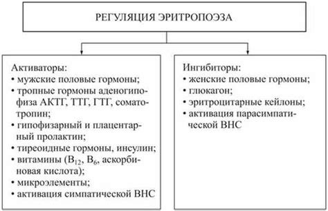 Факторы, влияющие на синтез эритропоэтина в организме