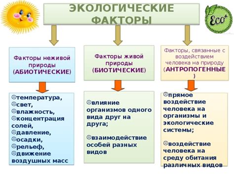 Факторы, воздействующие на выбор периода