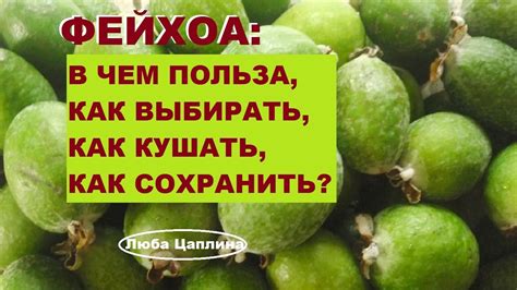 Фейхоа: секреты заботы, чтобы сохранить все ценности природного богатства