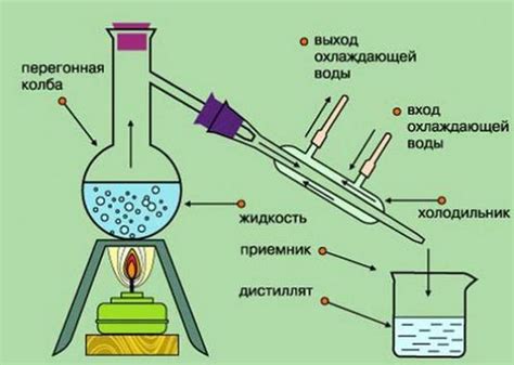 Ферментация и дистилляция: ключевые этапы в получении чистого этанола