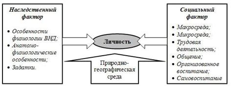 Физические, психические и социальные факторы