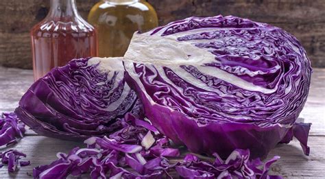 Фиолетовая капуста в белом соусе: рецепт классического блюда