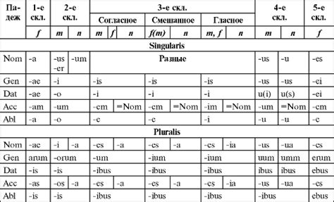 Формирование множественного числа существительных в латинском языке: добавление окончаний к основам