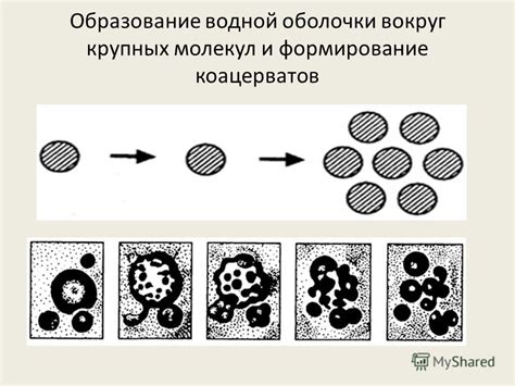 Формирование нежной оболочки сырного свитшота вокруг ролла