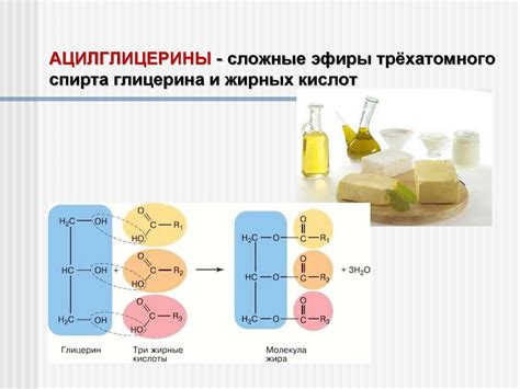 Функции глицеридов жирных кислот