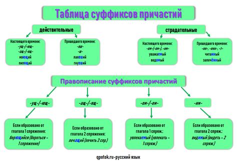 Функции и роль страдательных причастий в языке