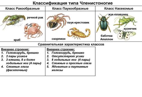 Характеристики мелкогранулярного типа