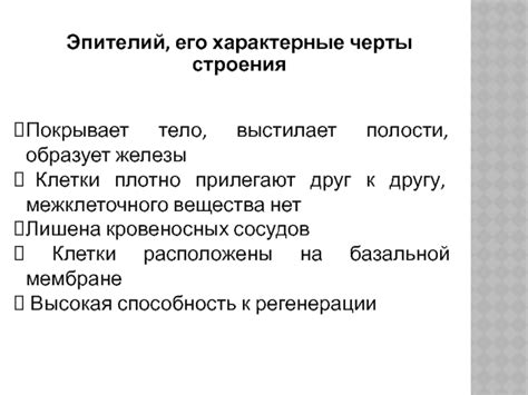 Характерные черты плотно ветвистого дерева в устойчивых оборотах