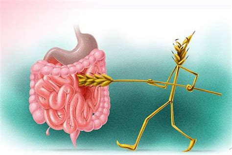 Целиакия: болезнь глютена