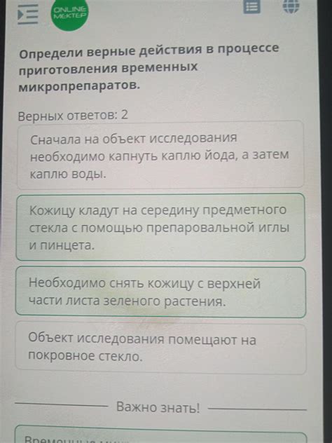 Цельные действия в начале приготовления яся