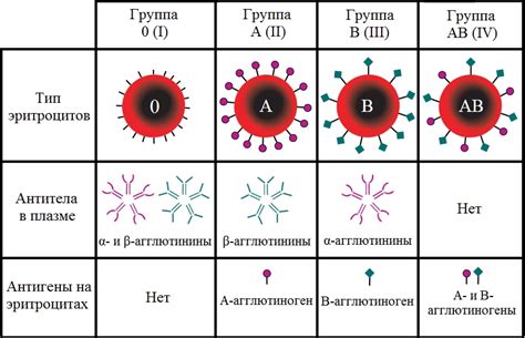 Цитологические исследования в определении группы крови: уникальные подходы