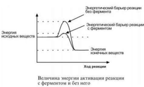 Часть 2: Основные принципы активации энергетического избытка