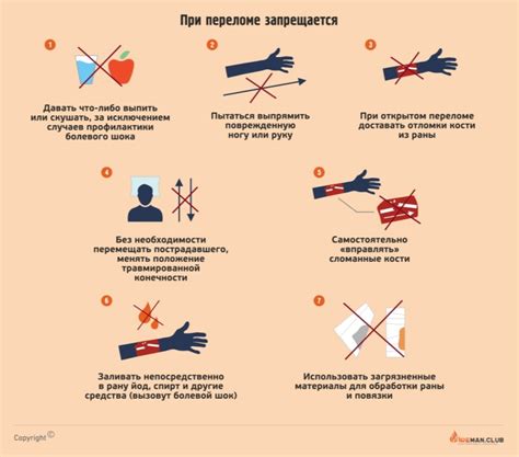 Что делать, если дятлы не посещают кормушку: первая помощь и последующие шаги